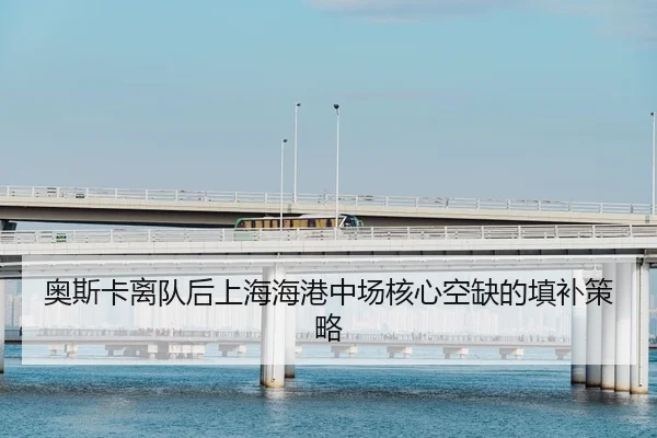 ao-si-ka-li-dui-hou-shang-hai-hai-gang-zhong-chang-he-xin-kong-que-de-tian-bu-ce-lve-2-929.jpg