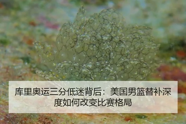 库里奥运三分低迷背后：美国男篮替补深度如何改变比赛格局