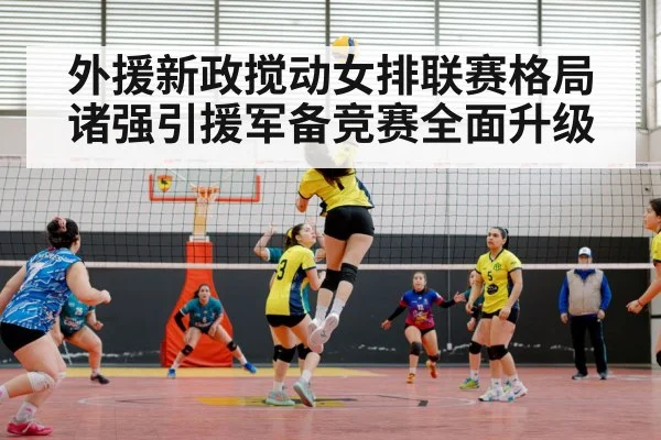 volleyball match arena