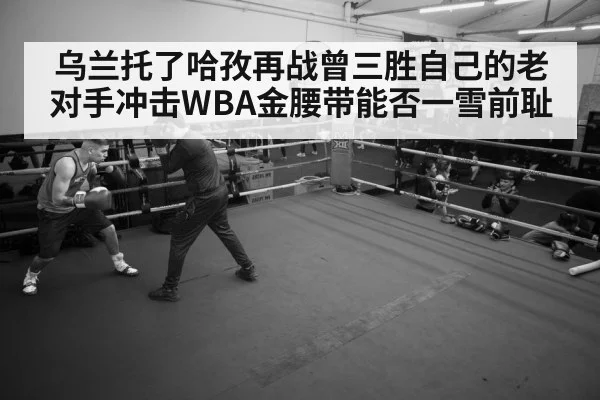 boxer training session