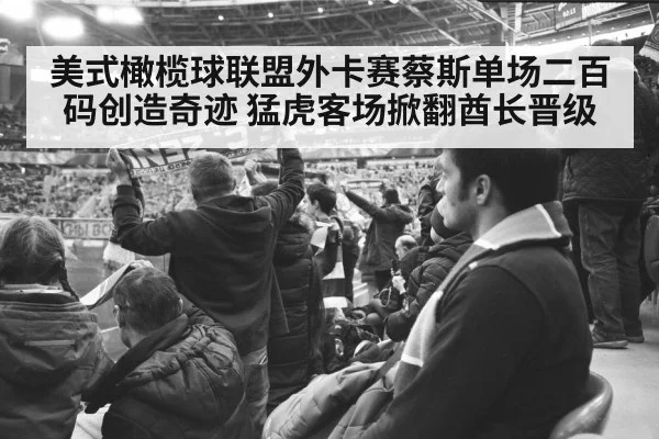 美式橄榄球联盟外卡赛蔡斯单场二百码创造奇迹 猛虎客场掀翻酋长晋级