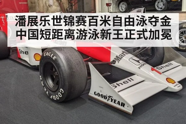 潘展乐世锦赛百米自由泳夺金 中国短距离游泳新王正式加冕